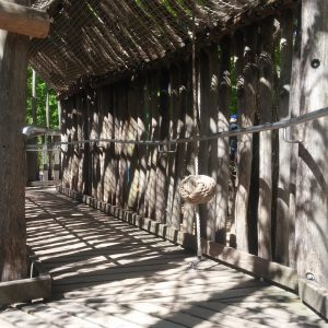 Tierpark Hellabrunn