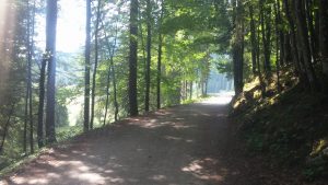 Wanderweg